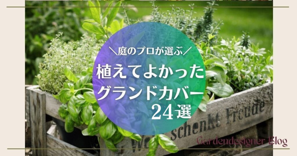 植えてよかったグランドカバー|プロが選ぶおすすめ24選