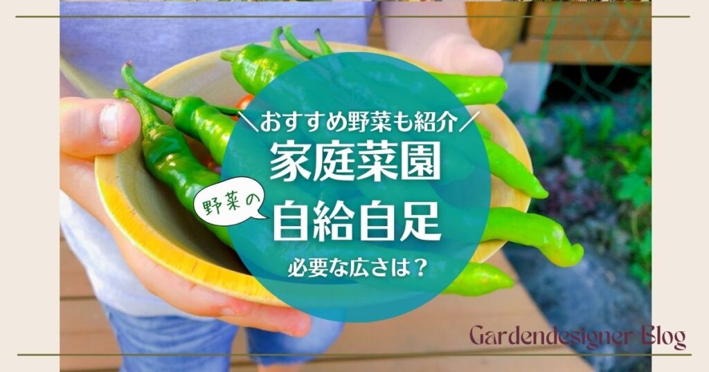 家庭菜園で野菜の自給自足｜必要な広さは？おすすめ野菜も紹介