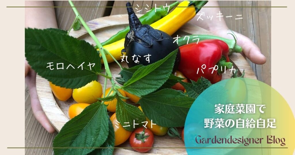 家庭菜園で野菜の自給自足