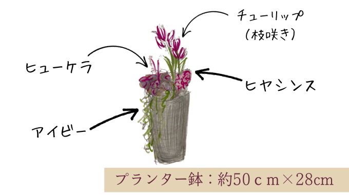 チューリップ　寄せ植えレイアウト③