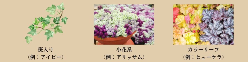 チューリップと一緒に植える花