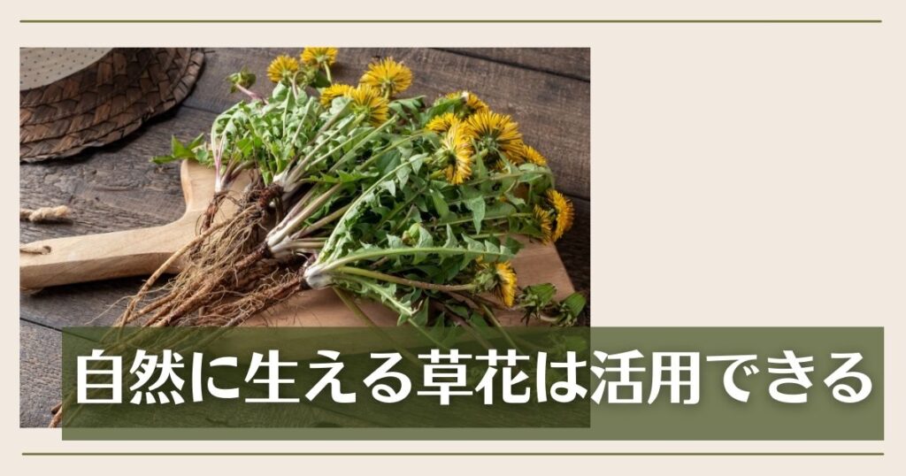 たんぽぽコーヒー｜自然に生える草花は活用できる