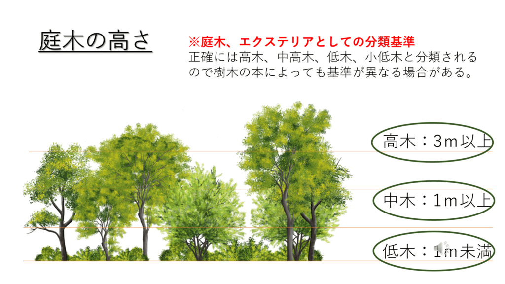 庭木の高さについて