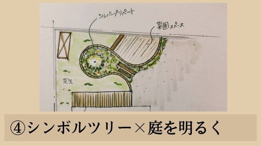 シルバープリペットのデザインアイデア④シンボルツリー×庭を明るく