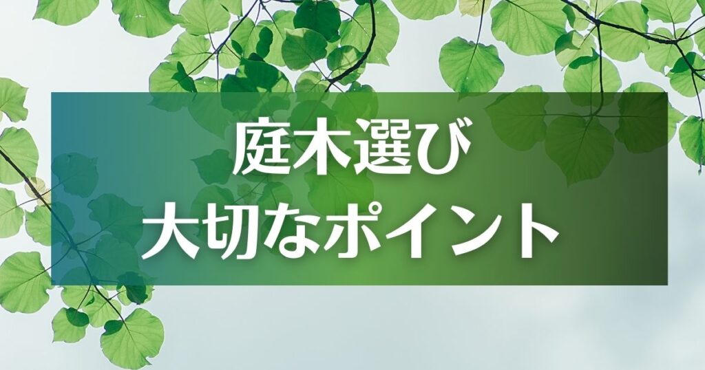 庭木選びの大切なポイント