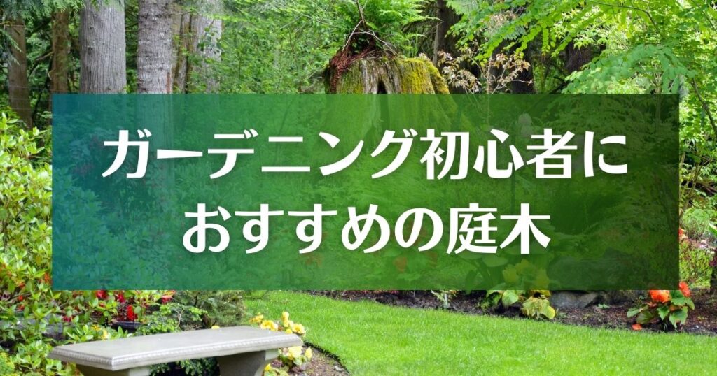 ガーデニング初心者におすすめの庭木