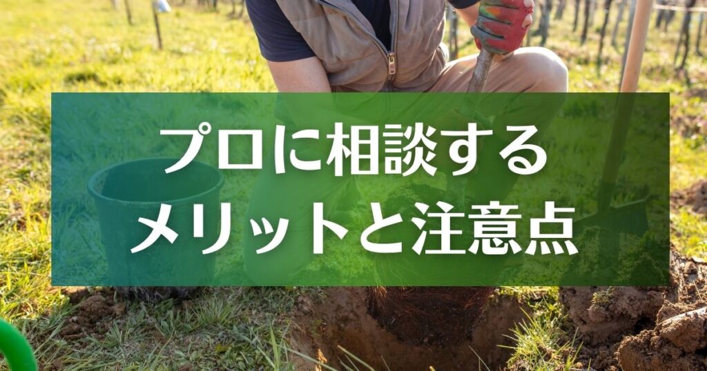 プロに相談するメリットと注意点