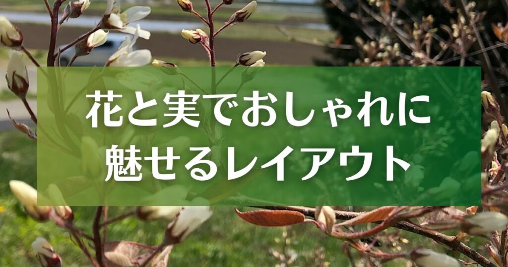 【デザイン】花と実でおしゃれに魅せるジューンベリーを庭にレイアウトしてみよう