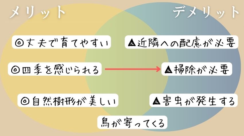 【図解】ジューンベリーのメリット・デメリット