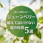 ジューンベリーを植えてはいけない庭の特徴5選