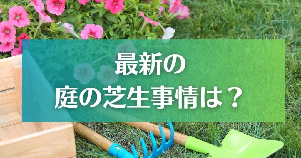 【最新】芝生の庭事情