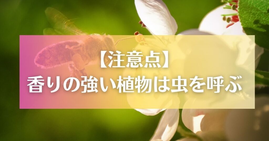 【注意点】香りの強い植物は虫を呼ぶ