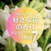 好きな花の香りランキング