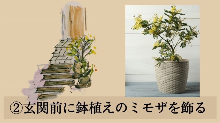 ミモザのデザインアイデア②玄関前に鉢植えのミモザを飾る