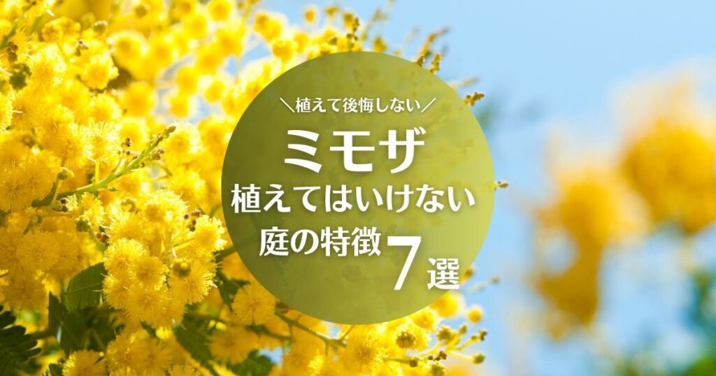 ミモザを植えてはいけない庭の特徴7選