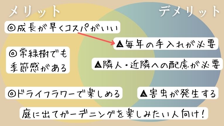 【参考】ミモザのメリット・デメリット