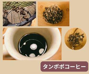 【参考③】手作りのタンポポコーヒー