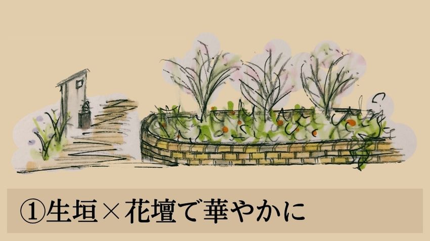 シルバープリペットのデザインアイデア①生垣×花壇で華やかに