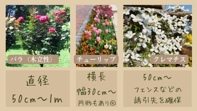 【参考】花壇のサイズを植物から決める