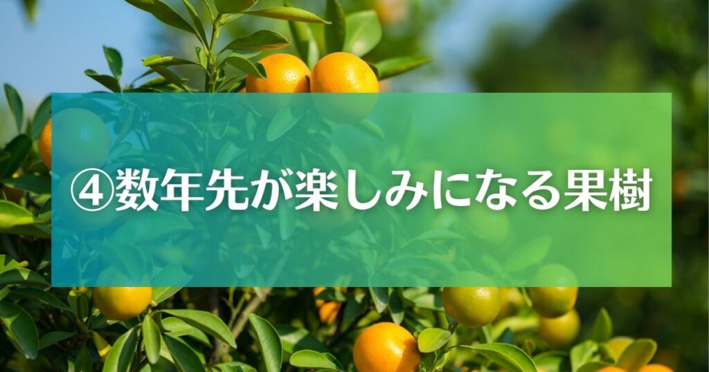 庭と健康｜活用アイデア④数年先が楽しみになる果樹を植える