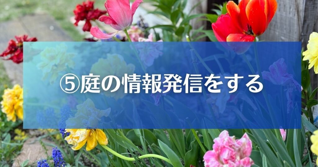 庭でできる副業アイデア⑤情報発信