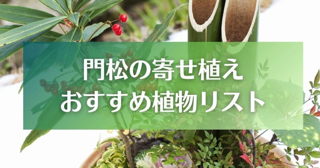 門松の寄せ植えにおすすめの植物リスト「赤い実」「葉」「花」