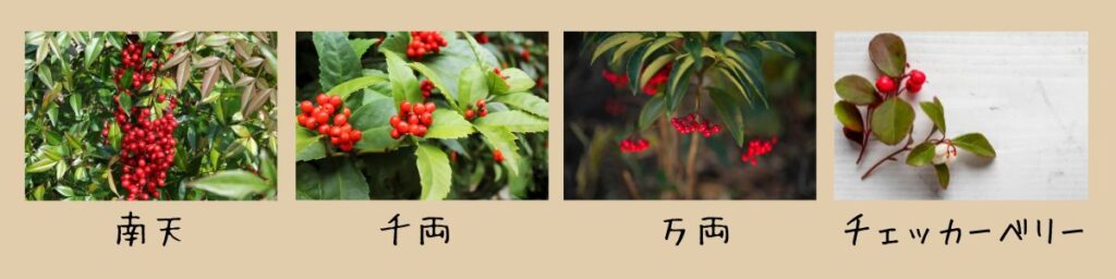 【画像】門松におすすめの赤い実を付ける植物