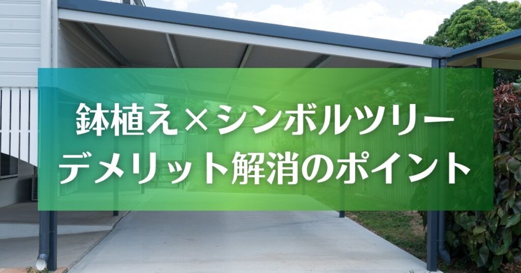 鉢植え×シンボルツリー|デメリット解消のポイント