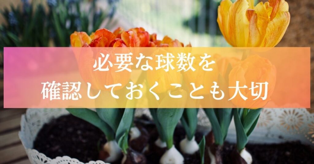 必要な球数を確認しておくことも大切