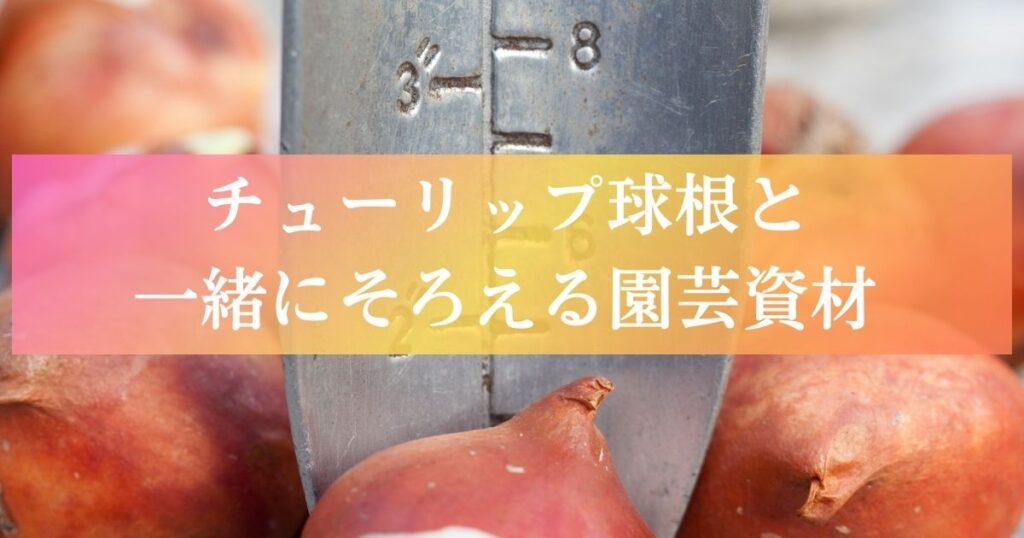 チューリップ球根と一緒にそろえる園芸資材