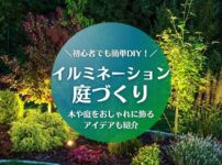 イルミネーションを庭に飾りたい初心者の方へ！木や庭をおしゃれに飾るアイデアを紹介